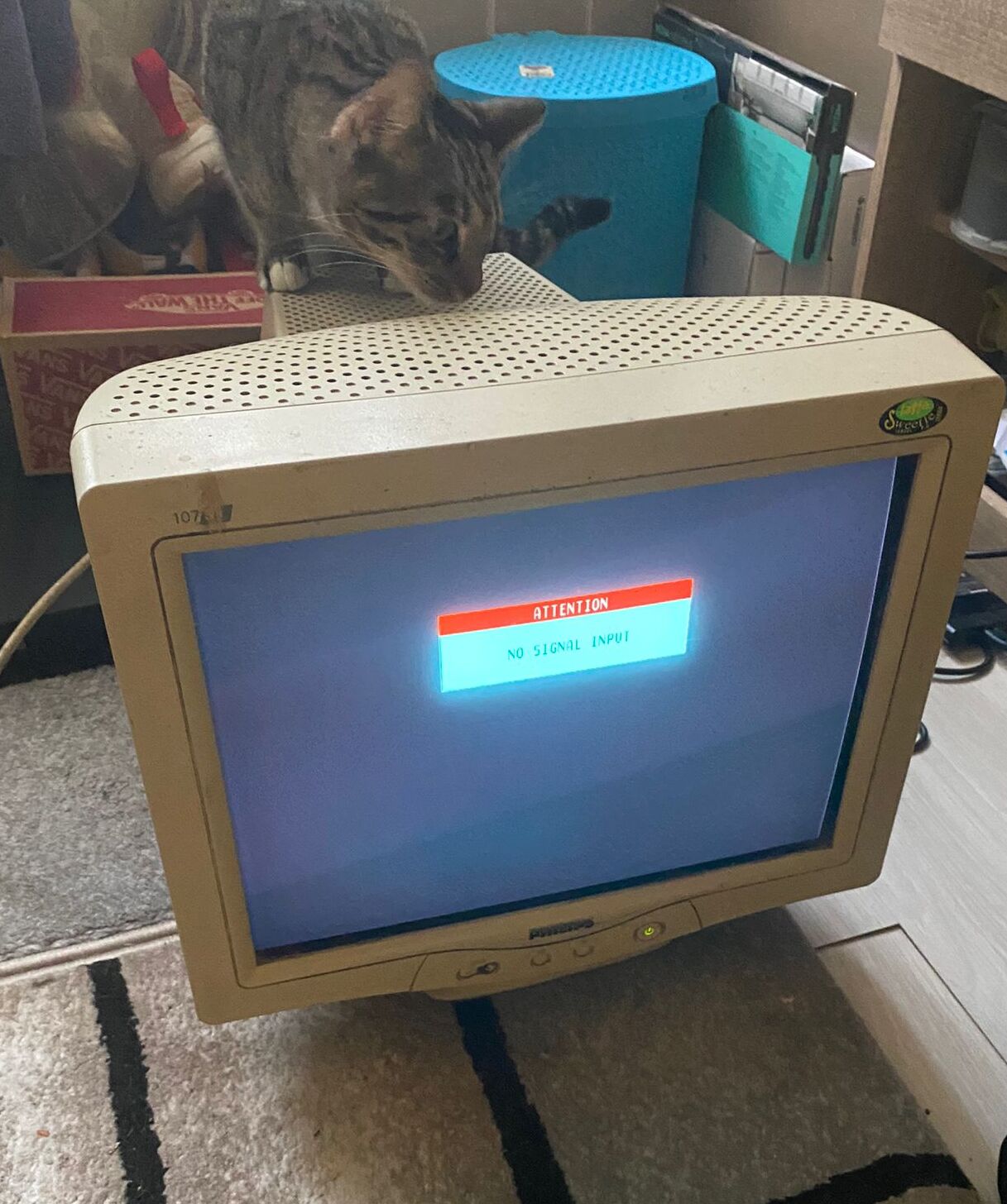 photo of my crt